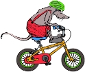 Pfingstferien in der Kindersportschule